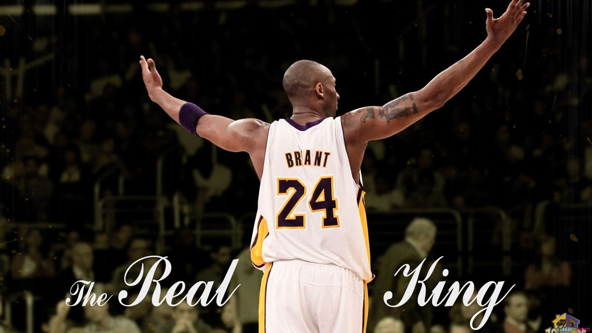 NBA年轻球员心理适应性训练方案，nba心理素质强的球员