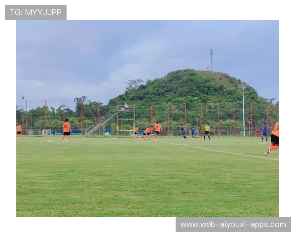 青训赛事：高校联赛为职业赛场输送新鲜血液的典型案例