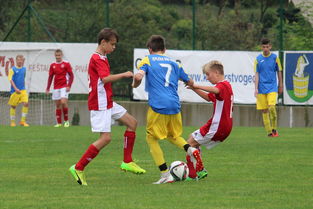 AYX体育-国足比赛期间战术板应用时机整理，足球战术板软件下载