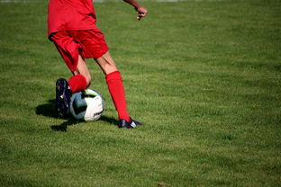 爱游戏电竞官网-篮球运动员心理健康服务体系研究，篮球运动员心理健康服务体系研究论文